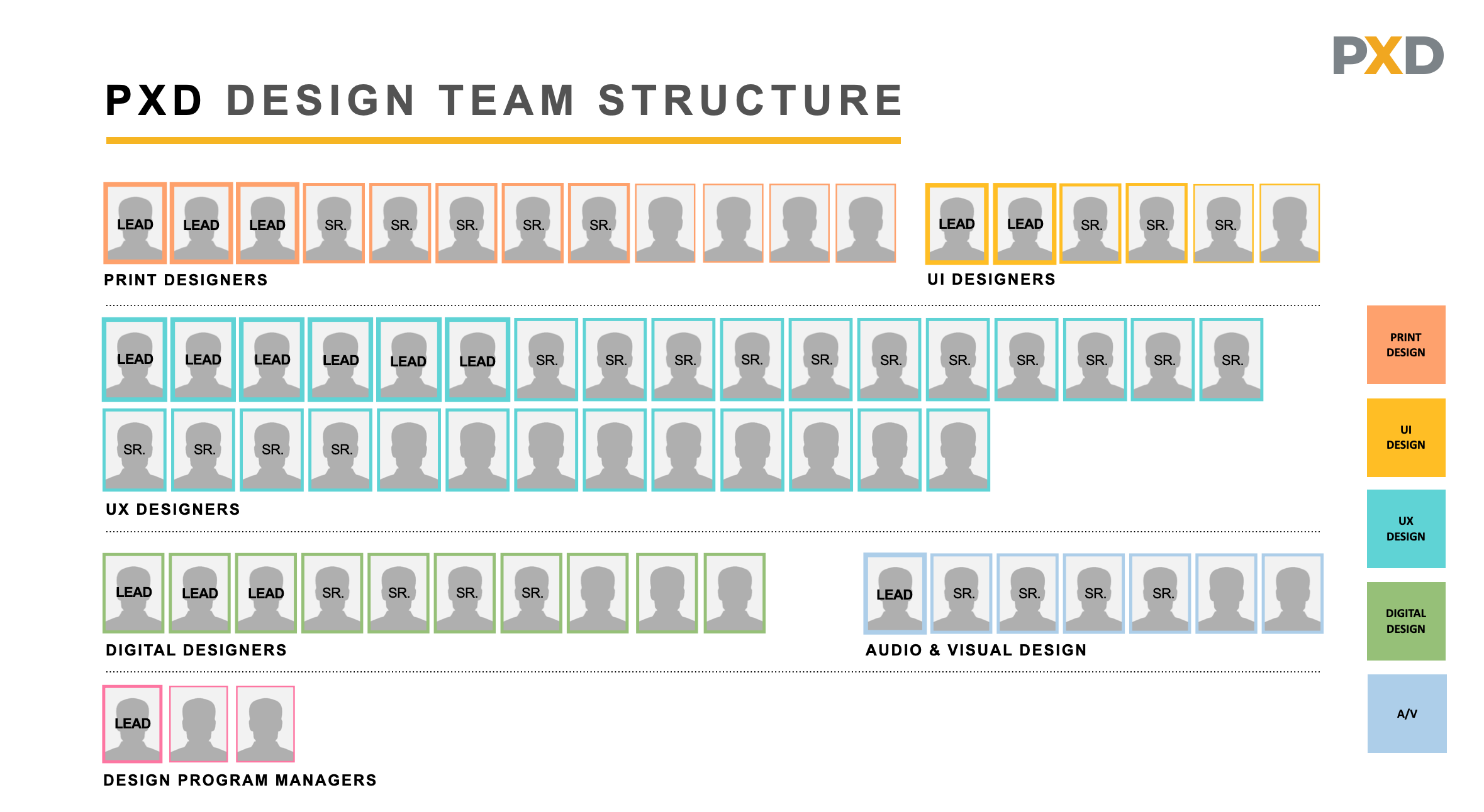PXD-TEam-Structure